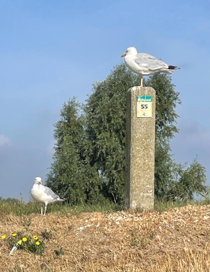 Cote Jardin Serooskerke (Schouwen-Duiveland) Exterior foto